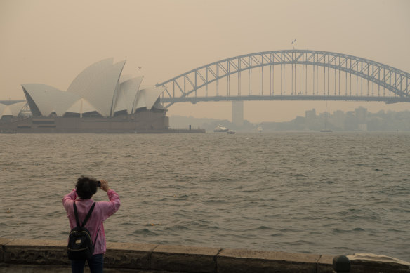The bushfire smoke that is currently blanketing Sydney could lead to A-League, W-League and National Youth League matches being postponed this weekend.