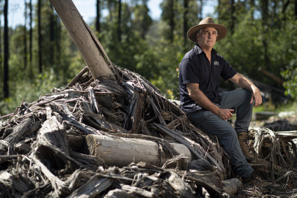 Professor David Lindenmayer in a native forest near Currawon.