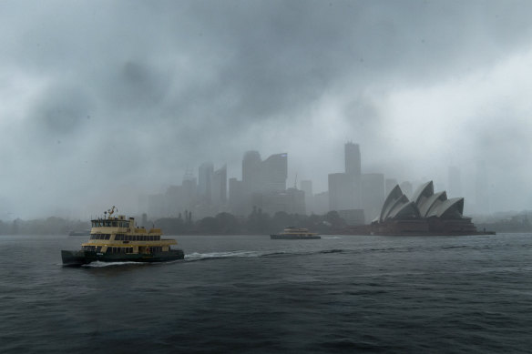 Sydney has recorded its wettest year on record.