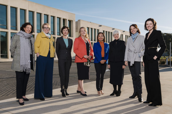 Independents Monique Ryan, Zoe Daniel, Kate Chaney, Kylea Tink, Dai Le with Greens MP Elizabeth Watson-Brown and independents Sophie Scamps and Allegra Spender.