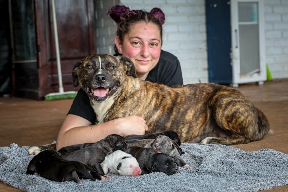 Jess Mogielski with Peridot and her litter of puppies. 