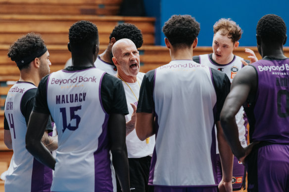 Brian Goorjian coaches his players during a Kings training session. 