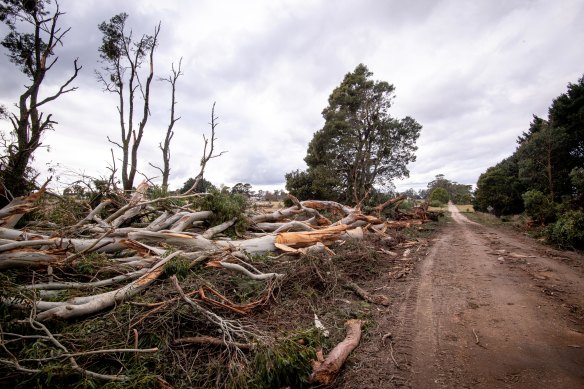 The aftermath on Pearsons Road, Trentham. 