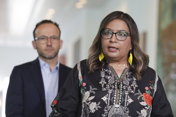 Mehreen Faruqi was closely aligned with Adam Bandt.