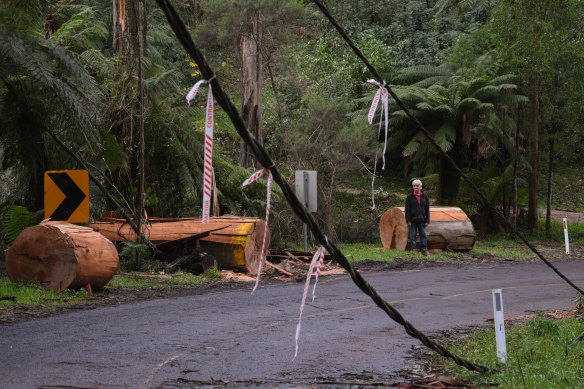 The storms did major damage to electricity infrastructure in the Dandenongs. 