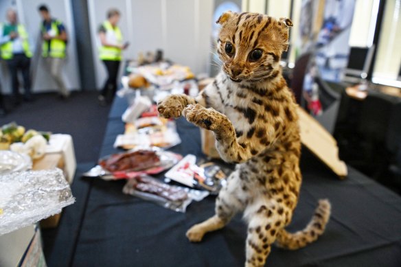 Some of the items detected at Sydney’s mail-sorting facility. 