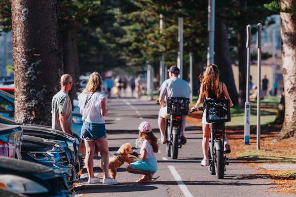 Northern Beaches Council deputy mayor David Walton has raised concerns about risks faced by pedestrians on shared paths.