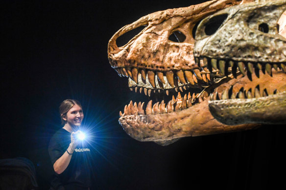 The Australian Museum's Farley Fitzgerald shines a light on two of the star exhibits.