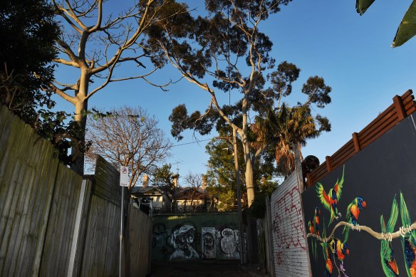 Mature trees in Sydney's densely-populated inner west are important for animal habitats and mitigating urban heat, environmental campaigners say.