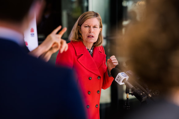 NSW Chief Health Officer Dr Kerry Chant has pleaded with Sydneysiders to stay home this weekend.