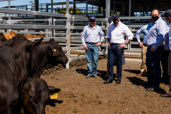 Opposition Leader Anthony Albanese with a Labor delegation is touring Queensland, where it hopes to pick up some seats.