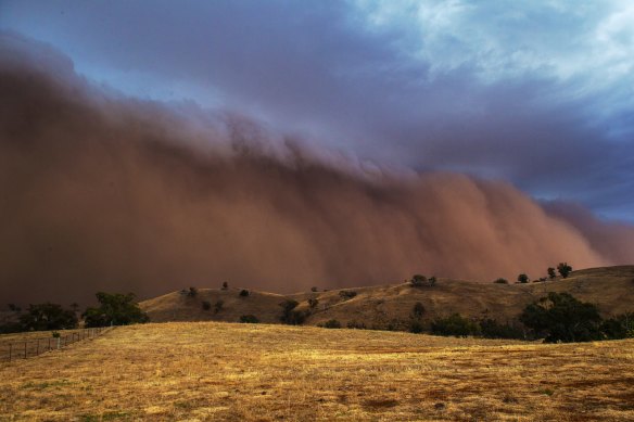 Dust storms west of Orange on January 19.