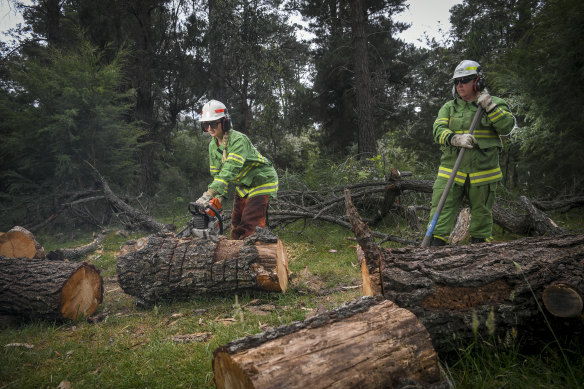 Melbourne Water firefighter Teagan Morris puts her chainsaw to use as Renelle Verkes looks on. 