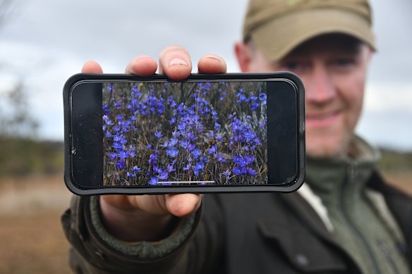 Well Zeeman showing a flower flossing in the common WoornDoo in the spring. 