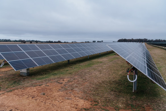 In solar research, says Minister for Climate Change and Energy, Chris Bowen, “he’s the international mega
rock star.”