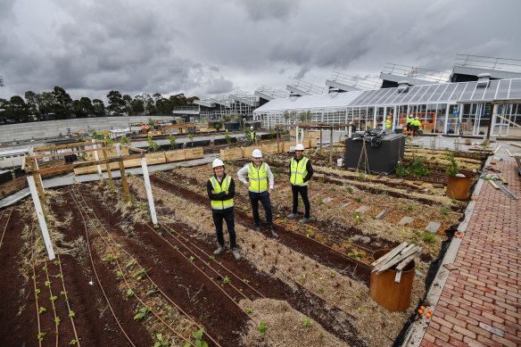 Frasers' Jack Davis and Peri Mcdonald with Living Building Challenge's Stephen Choi in Burwood Brickworks shopping centre's rooftop farm.
