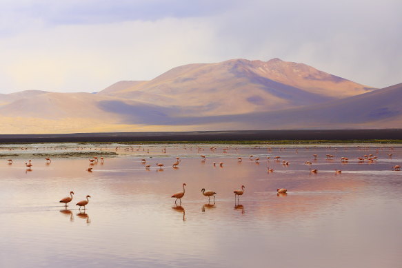 Surreal landscape of the Atacama Desert.