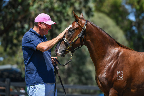 Michael Christian with a colt up for sale at Inglis.