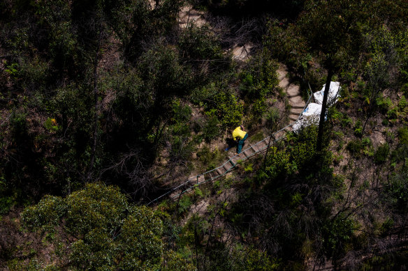 A National Parks and Wildlife Service staffer working on repairs to a bushwalking track. The white bags contain three 200 kilogram sandstone steps that are lowered in by helicopter.