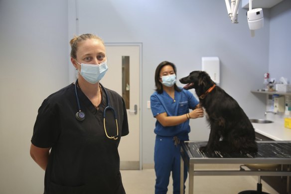 Vets, Dr Corinne James (foreground) and Dr Angela Pantangco.