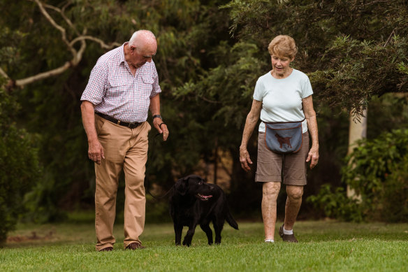 Hugh Gent, president of Dogs Australia with his wife Elizabeth, a labrador breeder, with 18-month-old labrador, Lucy.  