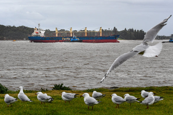 Portland Bay sails into Port Botany. 