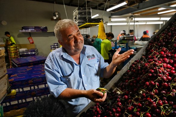 Cherry producer Guy Gaeta expects cherry prices to increase as a result of rain and cooler weather.