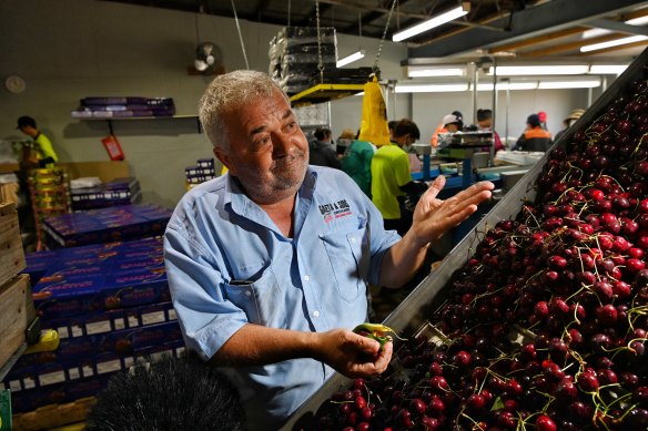 Cherry producer Guy Gaeta says the markets are well-stocked with produce.