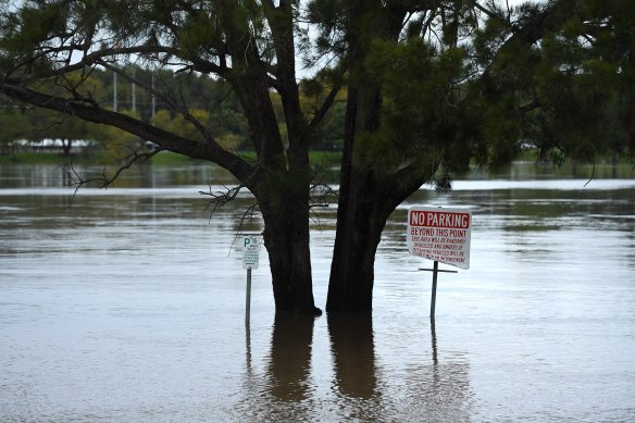 In August, Nowra endured its biggest flood in almost three decades. Rainfall across NSW in the first eight months of 2020 was 432 millimetres, or 15 per cent more than the long-run average.