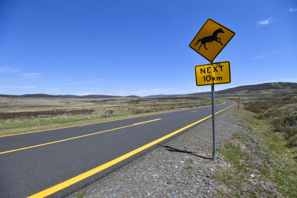 A sign on the Snowy Mountains Highway. For many, the absence of horses from this landscape is unthinkable.