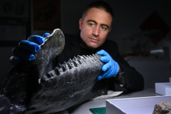 Dr Erich Fitzgerald with a 3D printed replica of the Triceratops fossil’s jaw. 