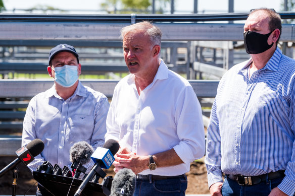 Anthony Albanese has called for free rapid antigen tests.