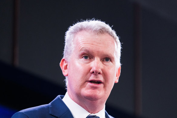 Employment and Workplace Relations Minister Tony Burke.