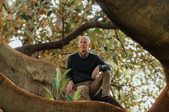 Dr Brett Summerell, chief botanist at the Royal Botanic Garden, within the canopy of a threatened fig. 