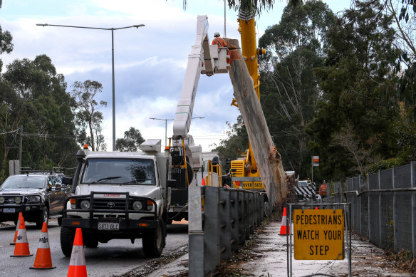 Heavy machinery removes trees damaged in last week’s storms in Montrose on Wednesday.