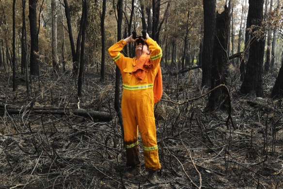 Wildlife rescue teams and National Parks and Wildlife Officers have found devastation when it has been safe to enter burnt regions.