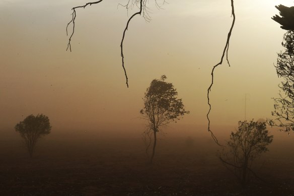 Dust storms were a regular feature of this spring across inland NSW and Queensland.