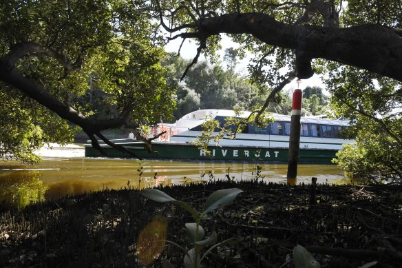 One of the RiverCats in operation on the Parramatta River.