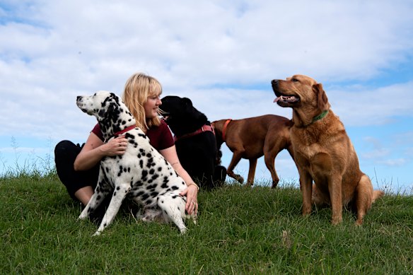 Dogs which live with other dogs are healthier, the study found.