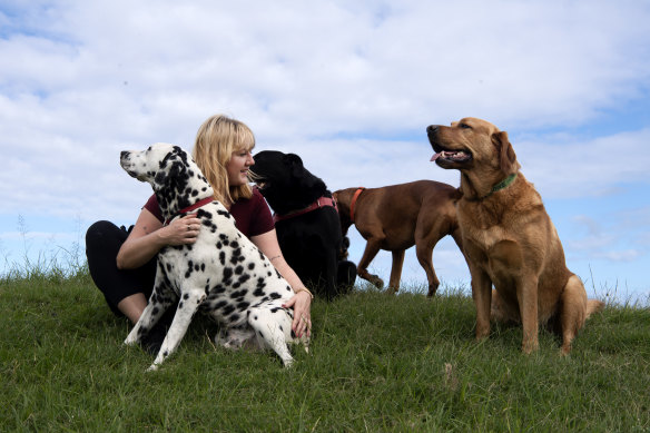 Dogs which live with other dogs are healthier, the study found.