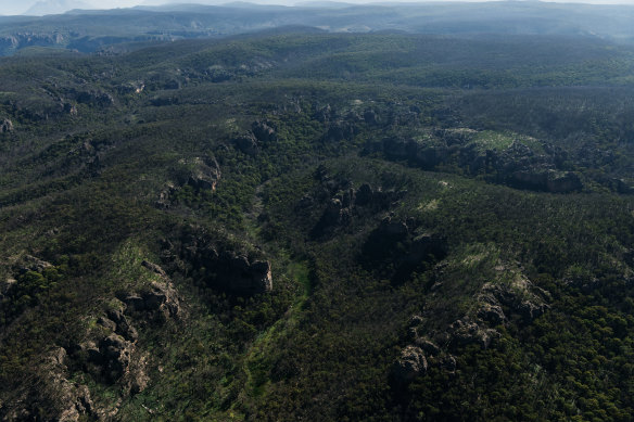 New Environment Minister James Griffin says he aims to expand national parks. 