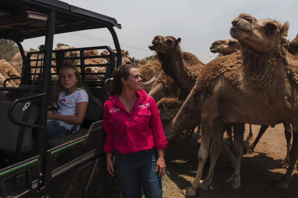Michelle Phillips, owner of Camel Milk NSW, and her daughter Gabriella on their camel farm near Muswellbrook in the Hunter Valley during the drought.