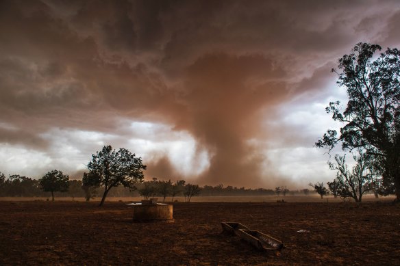 Violent storms lifted dust along their gust fronts and occasionally caused “gustnadoes” near Forbes in western New South Wales.