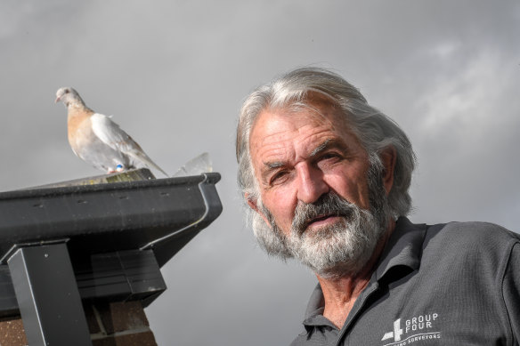 Kevin Celli-Bird is bemused by all the  fuss after a pigeon that landed in his yard was thought to have flown from the US, but was then found to be a local stray. 