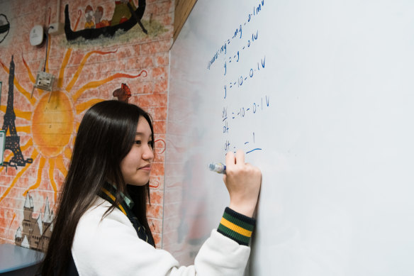 Year 12 maths student Yen Hoang, from Prairiewood High School, was one of 14 students in her extension 2 class this year. 