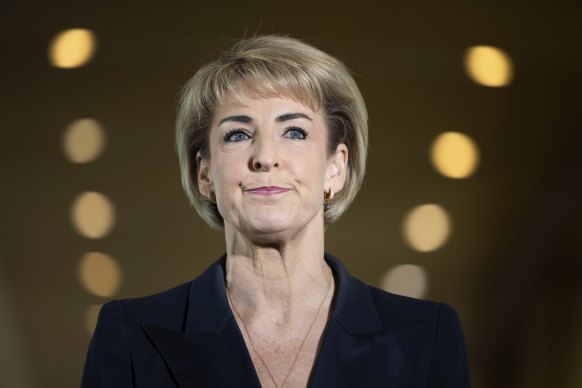 Coalition frontbencher Michaelia Cash wants Alan Joyce to appear before a Senate inquiry into the government’s Qatar decision.
