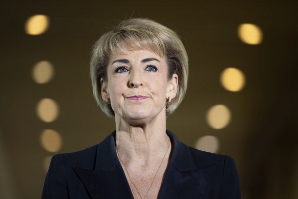 Coalition industrial relations spokesperson Michaelia Cash says she will try to delay the passage of the bill.