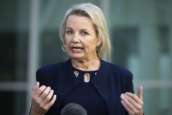 Deputy opposition leader Sussan Ley has been a target of internal Liberal Party divisions.