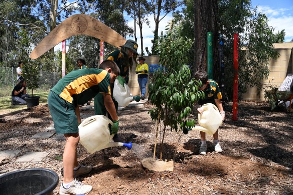 Students from Mary Immaculate Parish Primary School in Eagle Vale plant trees.