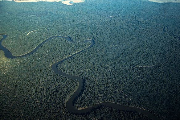 An aerial image of the Murray Valley and Barmah national parks along the Murray River.